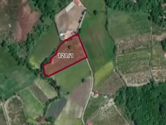 3650 M2 Feld Zum Verkauf In Köyceğiz Topars.