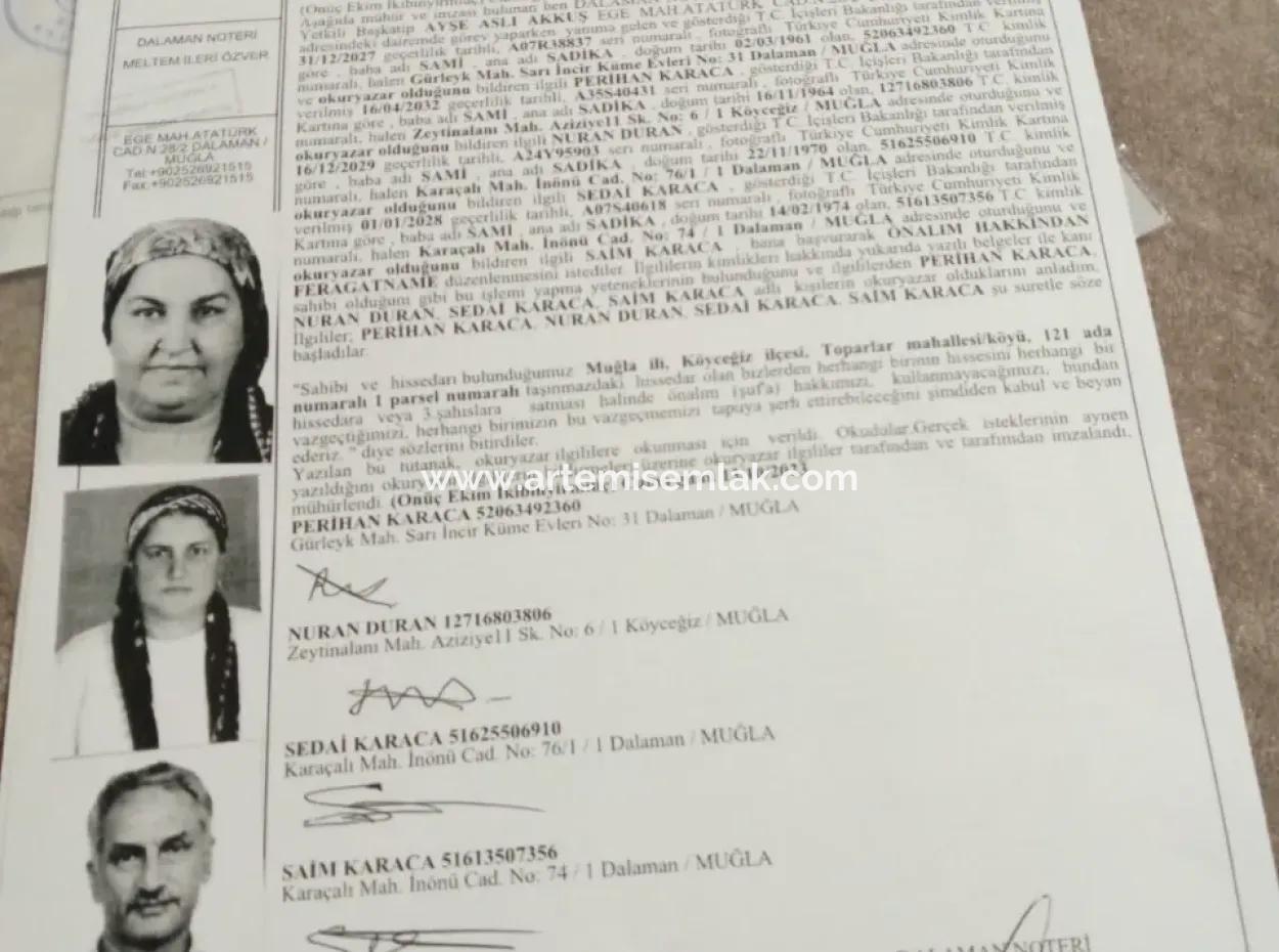 3650 M2 Field For Sale In Köyceğiz Topars.