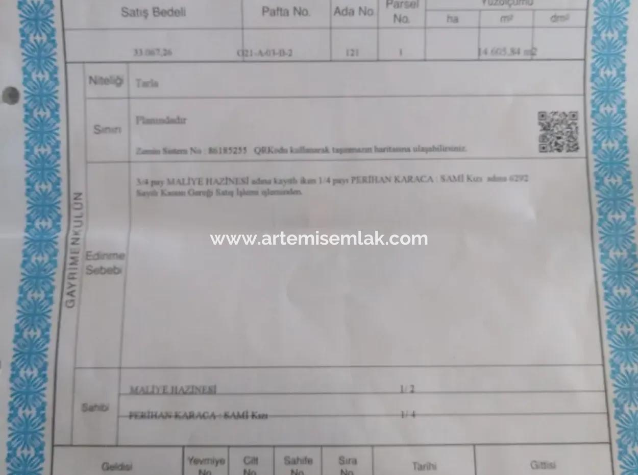 3650 M2 Field For Sale In Köyceğiz Topars.