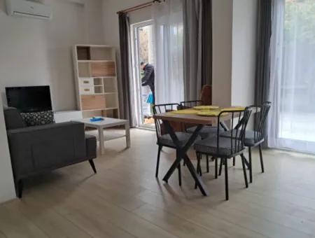 1 1 Newly Furnished Apartment For Rent In The Center Of Daalaman.