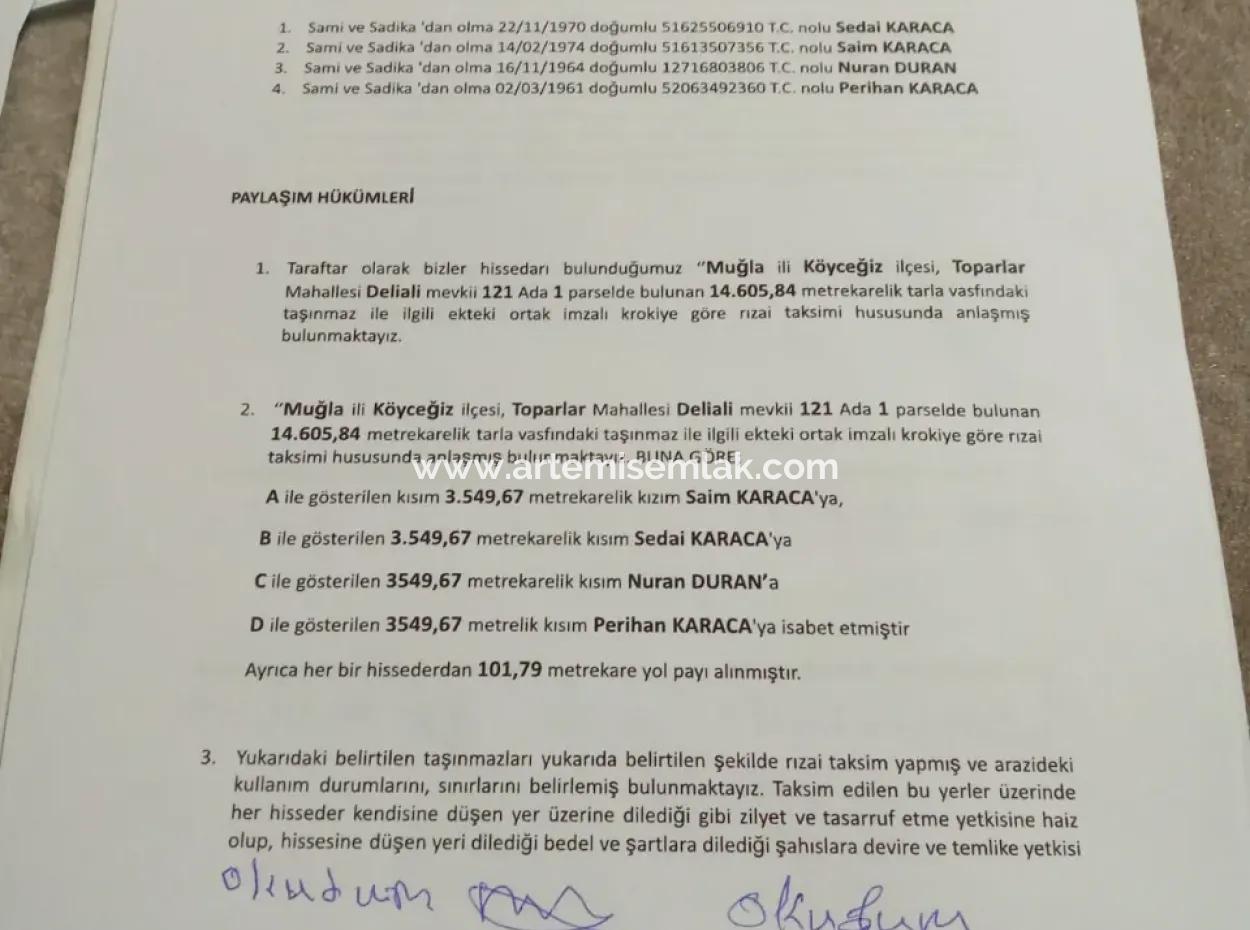 Köyceğiz Toparlarda Satıl 3650 M2 Tarla.