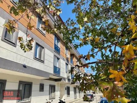 Daalaman Merkezde Kiraalık 1+1 Sıfır Eşyalı Daire.