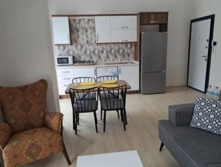 Daalaman Merkezde Kiraalık 1+1 Sıfır Eşyalı Daire.